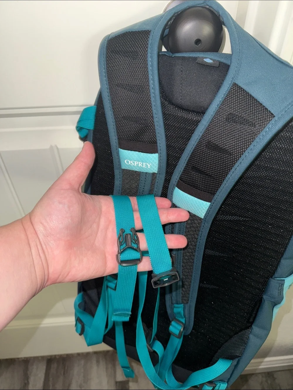 OSPREY Teal and Dark Teal Backpack - Daypack Day Lite Plus